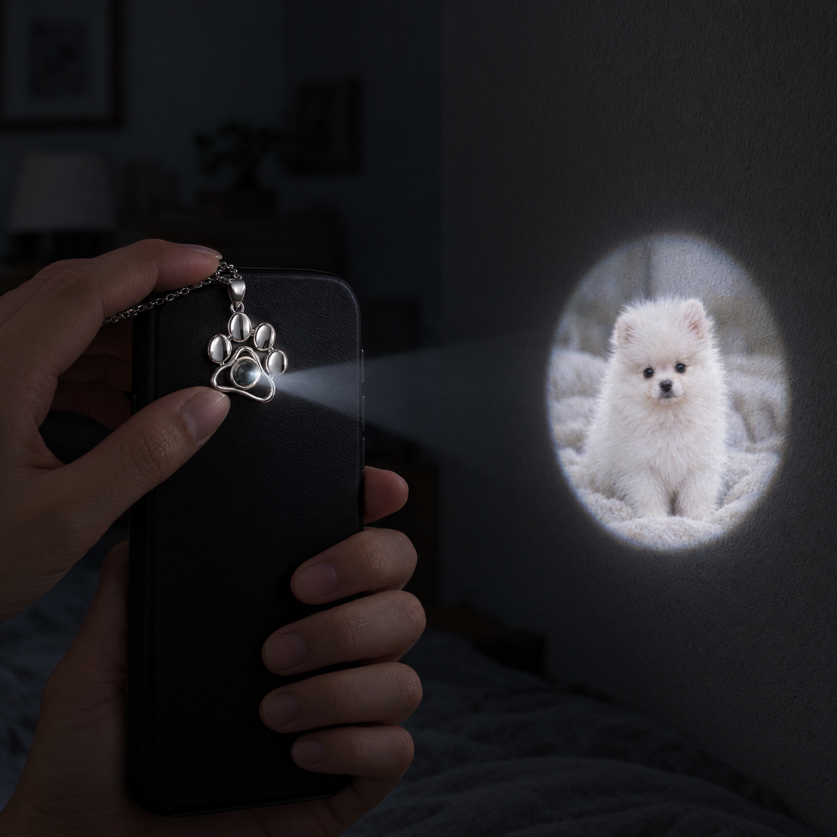 Collar huella proyectando la foto de un pomerania en la pared con la linterna del móvil