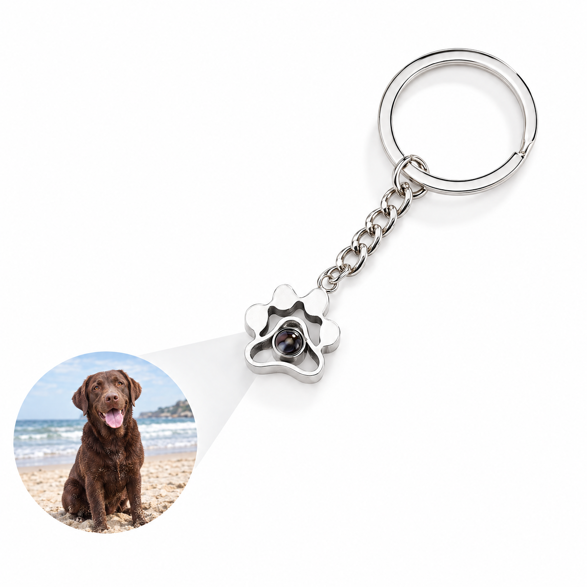 Llavero de huella plateado con la foto de un labrador proyectada desde la lente